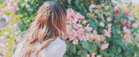 素材サイト「GIRLY DROP」より、くんくん♪薔薇の香りを楽しむ女の子。 アイキャッチ画像。