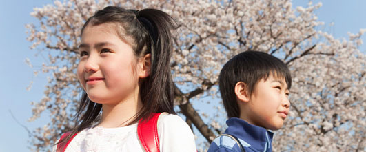市販の写真素材より。桜の写真素材は、腐るほどあります。 アイキャッチ画像。