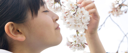 アイキャッチ画像。この女の人、何歳に見えますか?分かりにくいかも知れませんが、中学生の写真素材としてCD-ROMに収録されていました