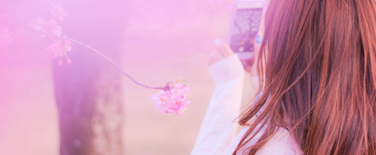 写真素材サイト「GIRLY DROP」より、「お花見でスマホを取り出し桜を撮影中の女の子の写真画像」。 アイキャッチ画像。