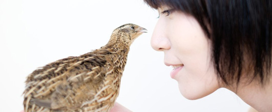 写真素材サイト「Pakutaso」より、手乗りウズラに話しかける女性。カズキヒロさんの作品。モデルは緋真煉(ヒサナネル)さん。 アイキャッチ画像。