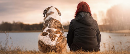 写真素材サイトPixabayより、「自然 お友達と 犬」。Seaq68さんの作品。今年は戌年でした。 アイキャッチ画像。