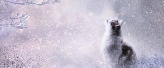 素材サイトPixabayより、猫。DreamyArtさんの作品。 アイキャッチ画像。