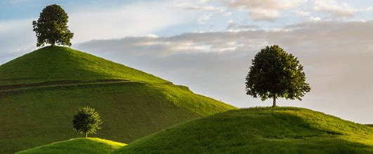 素材サイト「Pixabay」より、丘と木。Susanne Stöckliさんの作品。 アイキャッチ画像。